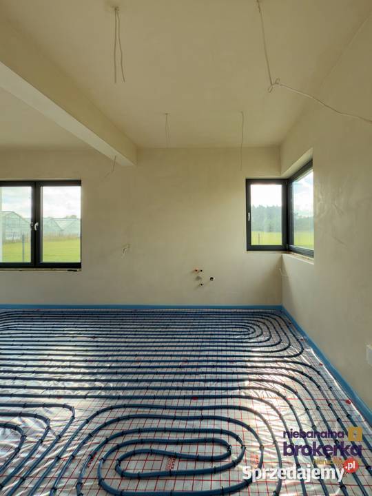 Dom piętrowy z 4sypialniami I przestrzeń i Głuchów sprzedam