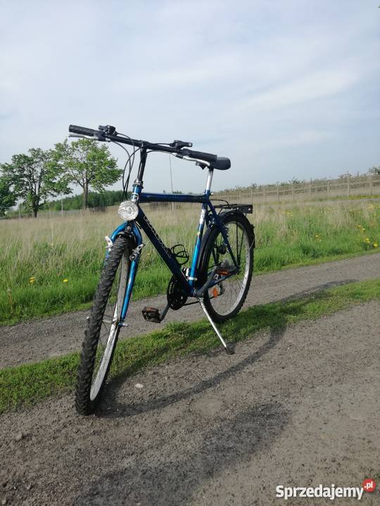Rower FORESTER 26
