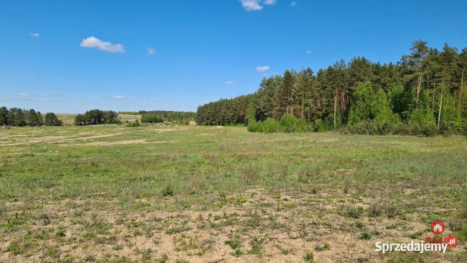 Grunt 4046m2 Wasilków 150zł/m2 sprzedam