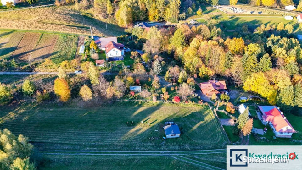 Ogłoszenie działka 1200m2 Korczyna sprzedam