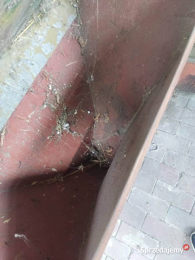 Podajnik do zboża śląskie Tychy