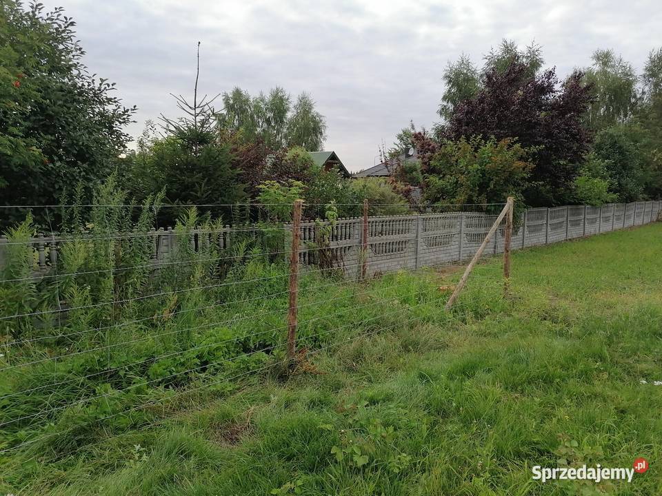montaż siatki leśnej ocynk ogrodzenie leśne Łask