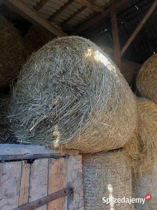 Sprzedam łódzkie sprzedam