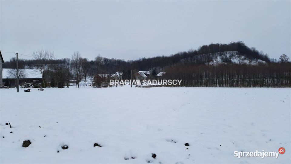 Grunt Polekarcice 4800m2