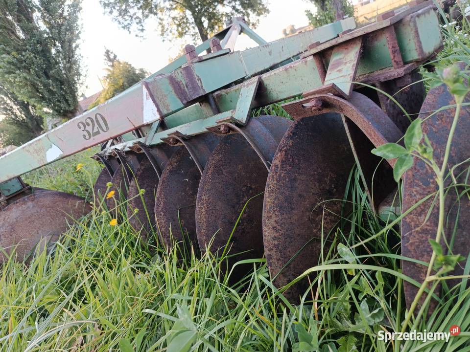 Talerzówka bomet mazowieckie Platerów