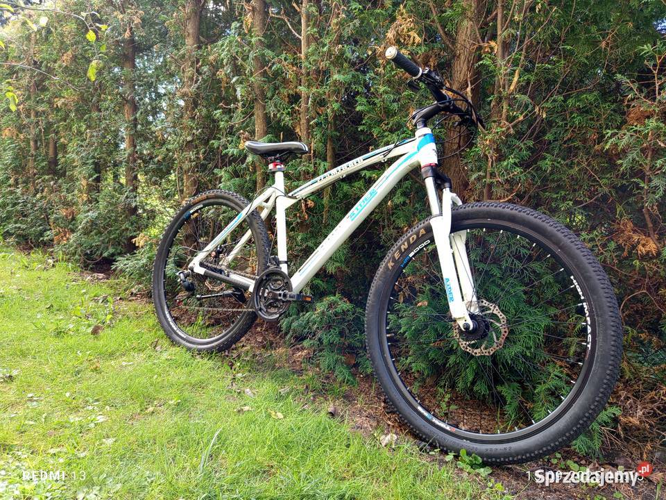 sprzedam rower górski MTB teamraider Tychy