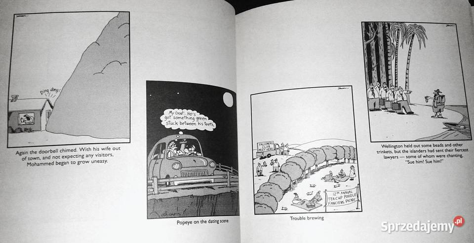 The chickens are restless Gary Larson lubelskie Chełm sprzedam