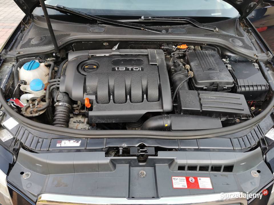 Audi A 3 lift 19 diesel doinwestowany Lechów sprzedam