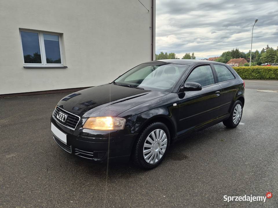 AUDI A3 8P 16 Benzyna 3drzwi 2004