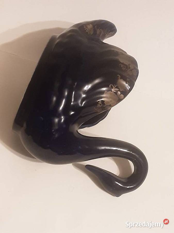 Łabądź dekoracyjny