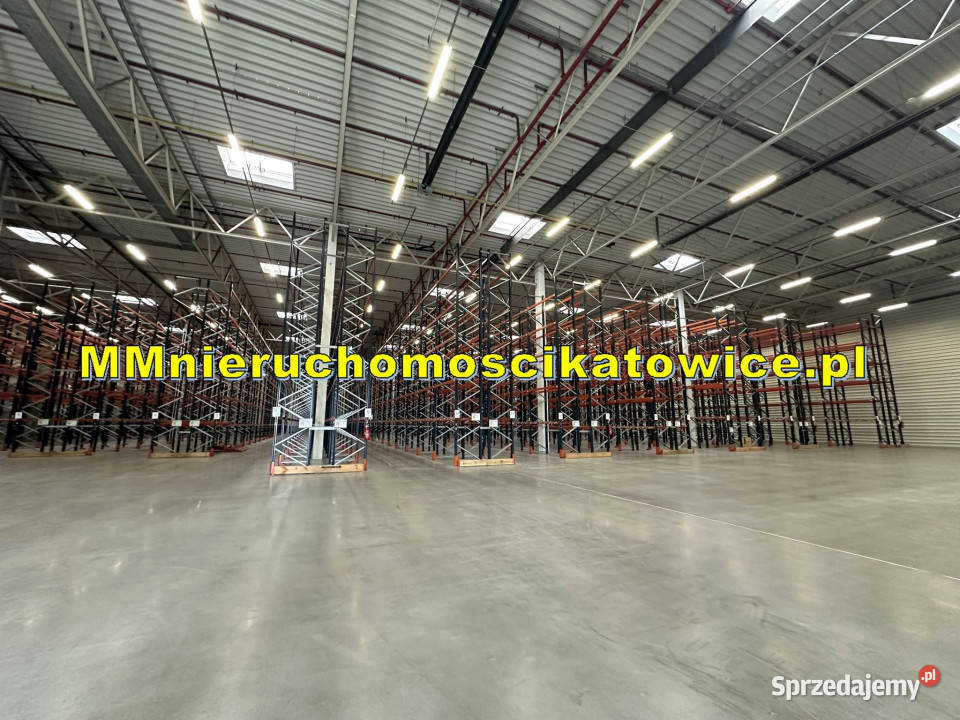 Hala ogrzewana do wynajęcia Katowice DTŚ winda