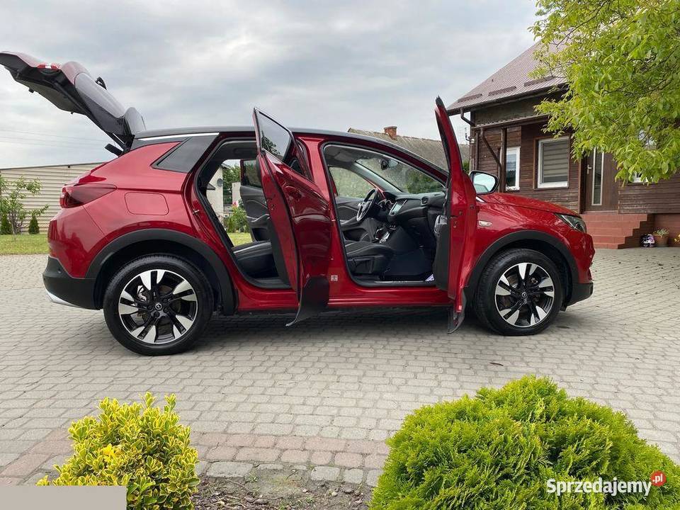 Opel Grandland X 12 Automatik Business Edition Rok produkcji 2019 kujawsko-pomorskie Dragacz sprzedam