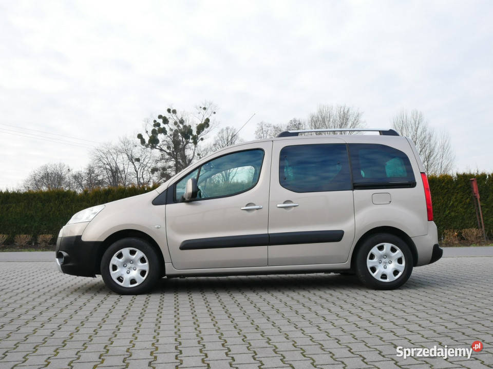 Peugeot Partner 16 120 Eu5 Tepee Klima Panorama klimatyzacja
