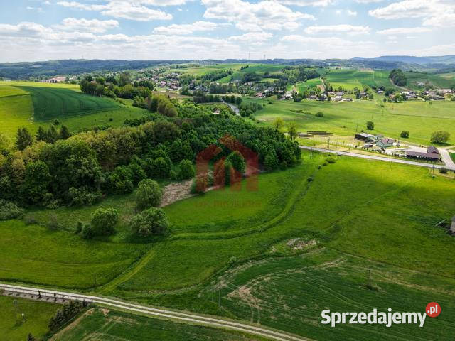 Działka 1000m2 Wielopole Skrzyńskie