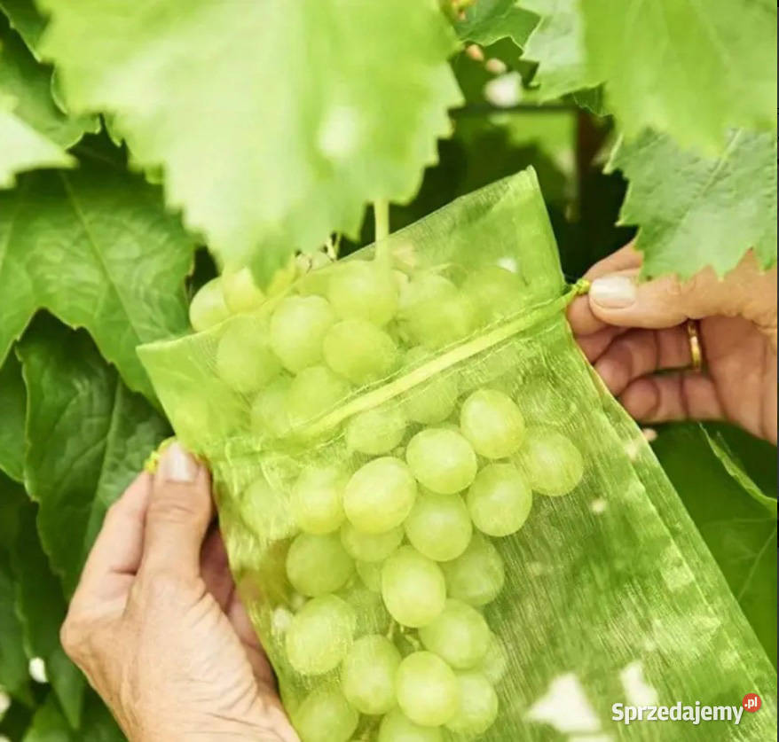 50 worki siatka ochrona przed owadami na owoce Krosno