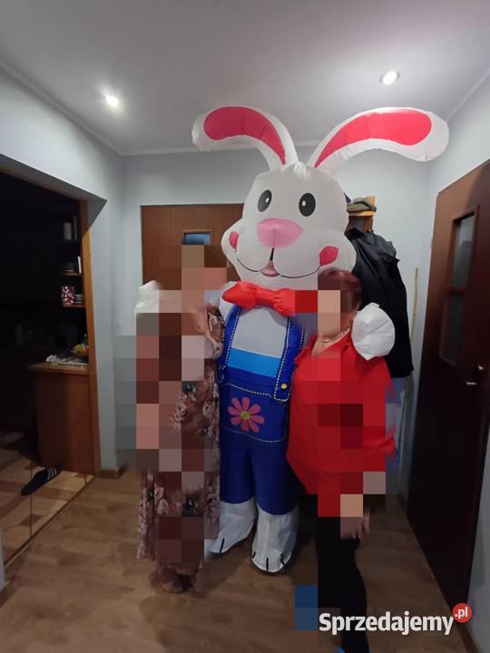 Biały miś Września