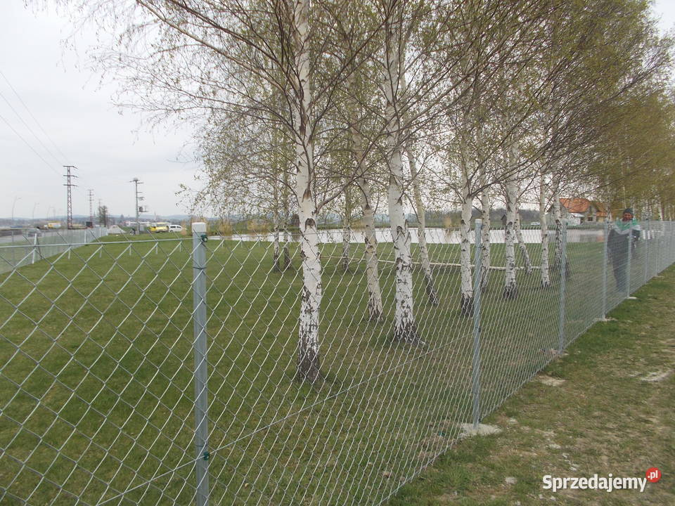 SIATKA ogrodzeniowa ocynk 25mm Kompletne dolnośląskie