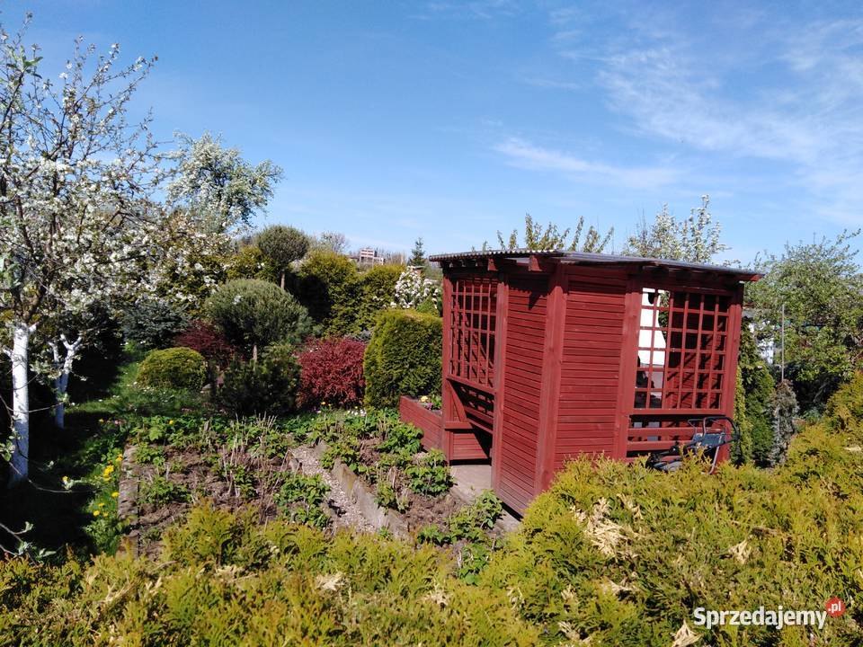 SPRZEDAM DZIAŁKĘ OGRODOWĄ ROD OLECKO