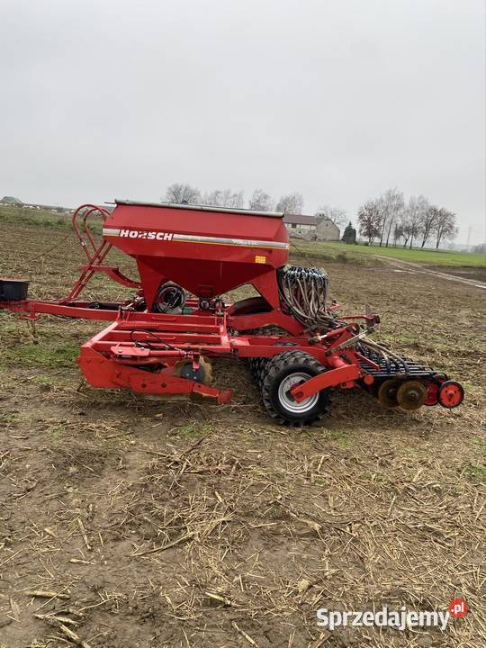 Siewnik horsch pronto 6dc Horsch Siewniki i sadzarki Boleszyn