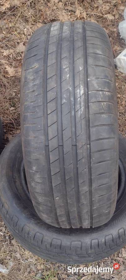 2x2355517 2x1757014 2x2056016 lato Kraków