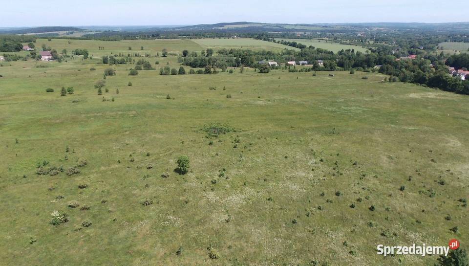 Sprzedam działkę rolną 739 ha Dolnośl gmLeśna Pobiedna