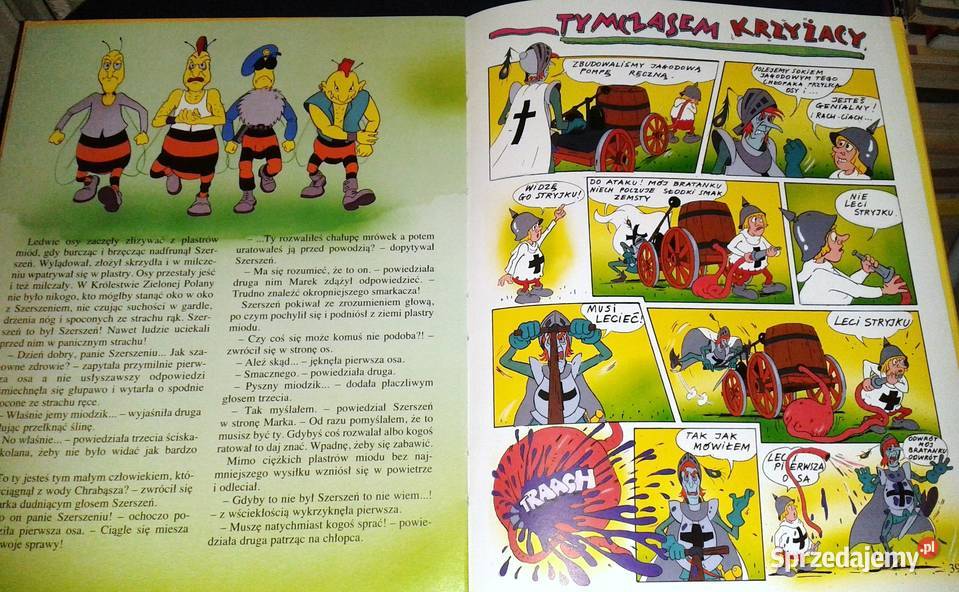 Królestwo Zielonej Polany Zbigniew Książek twarda Chełm sprzedam