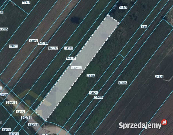 Działka w Gadce gmina Kołbiel Gadka