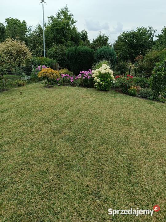 Sprzedam działkę Rodo Zabrze