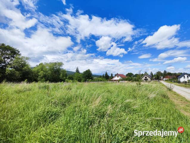 sprzedaży gruntu 1858m2 Sulistrowice dolnośląskie sprzedam