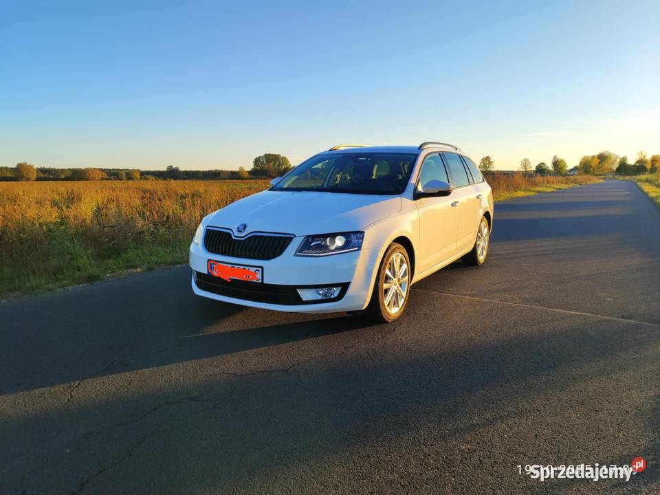Skoda Octavia 3 kombi wielkopolskie Gniezno sprzedam