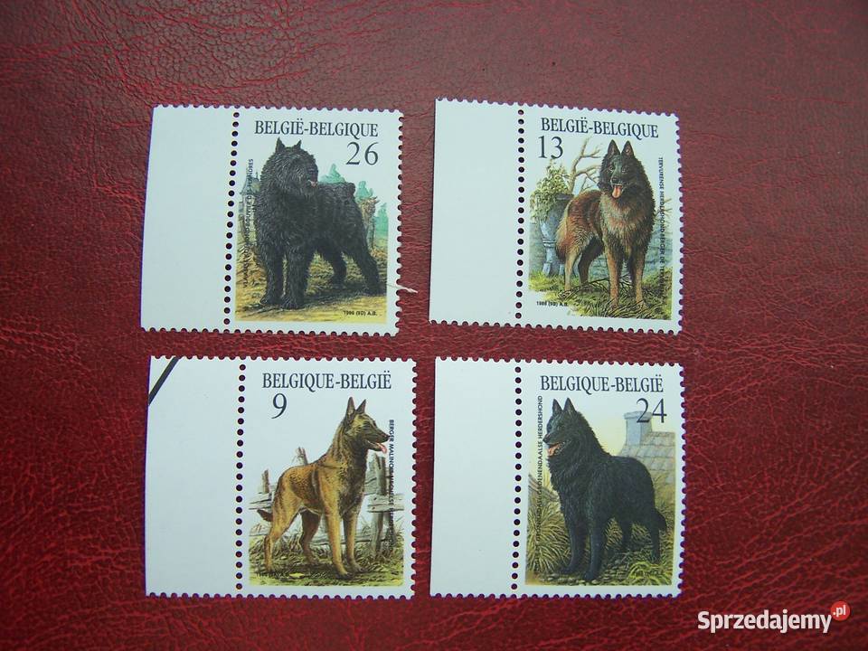 Belgia 1986 MNH Mi 226568 Fauna Psy Filatelistyka Tychy