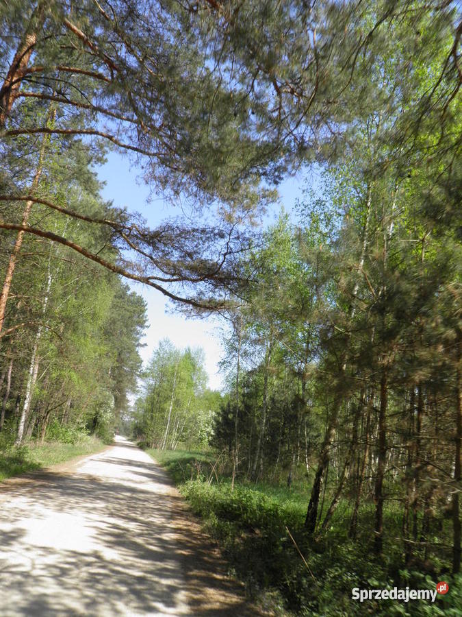 działkę rekreacyjną w miejscowości Zawiszyn rze siatka