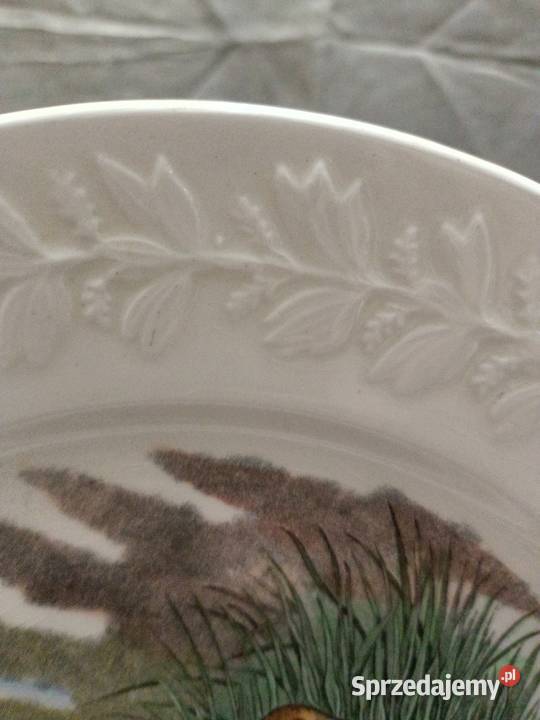 Talerz obiadowy birds America ilustra AUDUBONA Malarstwo Zamość