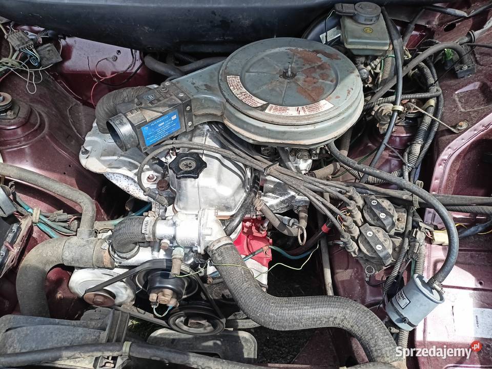 polonez caro unikat