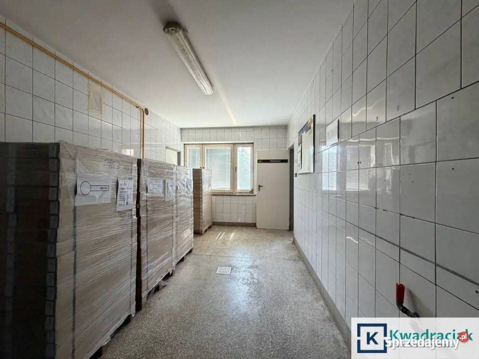 Lokal 66387m2 Krajowice