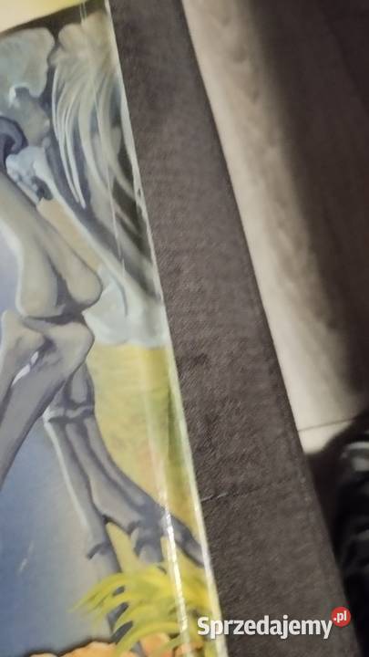 wielka księga dinozaury plakietki rozkladanki Książki dla dzieci Poznań