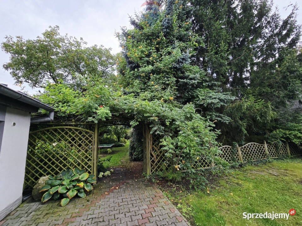 Opalenica 4pokojowe mieszkanie do remontu kamienica