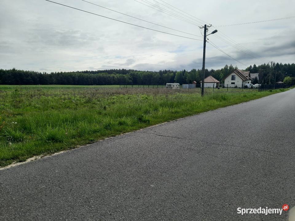 Nowe Chrusty 1300 m2 sprzedam
