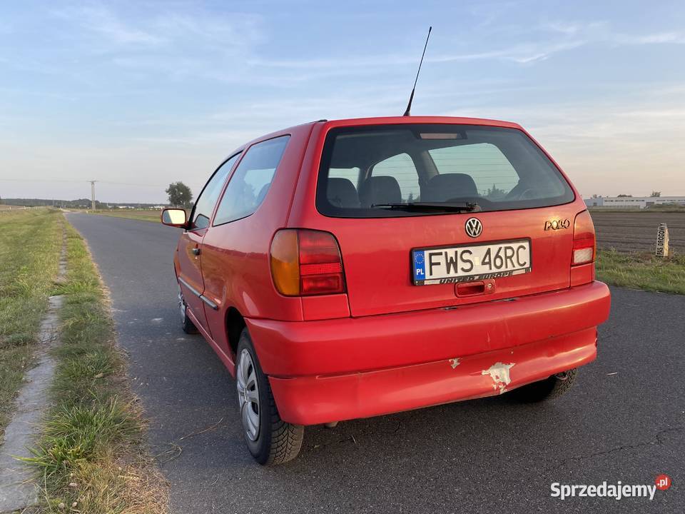 Volkswagen Polo Czerwony Polo Babimost