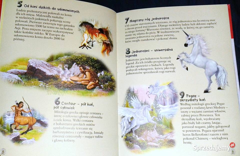 101 ciekawostek Konie Anais Puygrenier Chełm