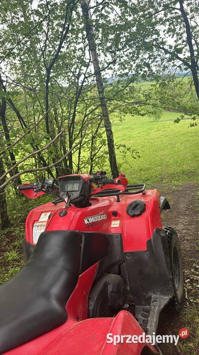 Suzuki Kingquad 750 4x4 blokada Suzuki Frycowa