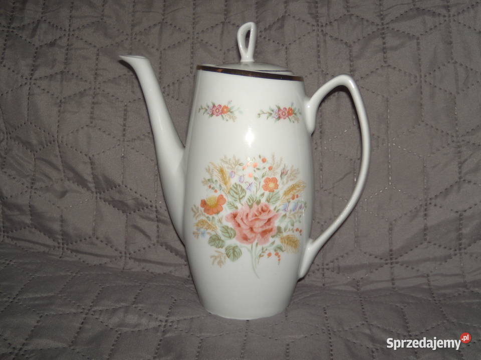 Serwis Aldona Chodzież Warszawa