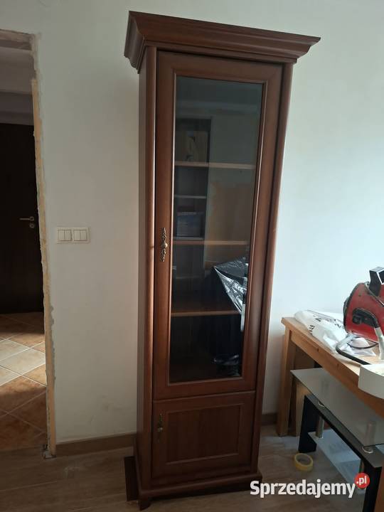 Kent witryna prawa kasztan Kraków