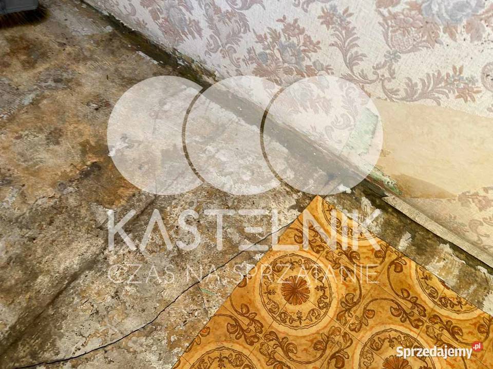 Dezynfekcja i sprzątanie zgonach Margonin