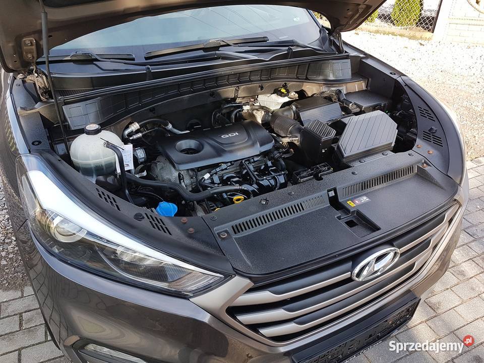 Hyundai Tucson 16 MPI 2016 Liść Klonu Full