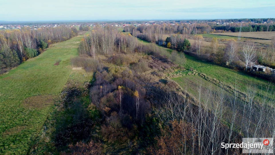 sprzedaży działki DereźniaZagrody 12700m2 szambo lubelskie Dereźnia-Zagrody sprzedam