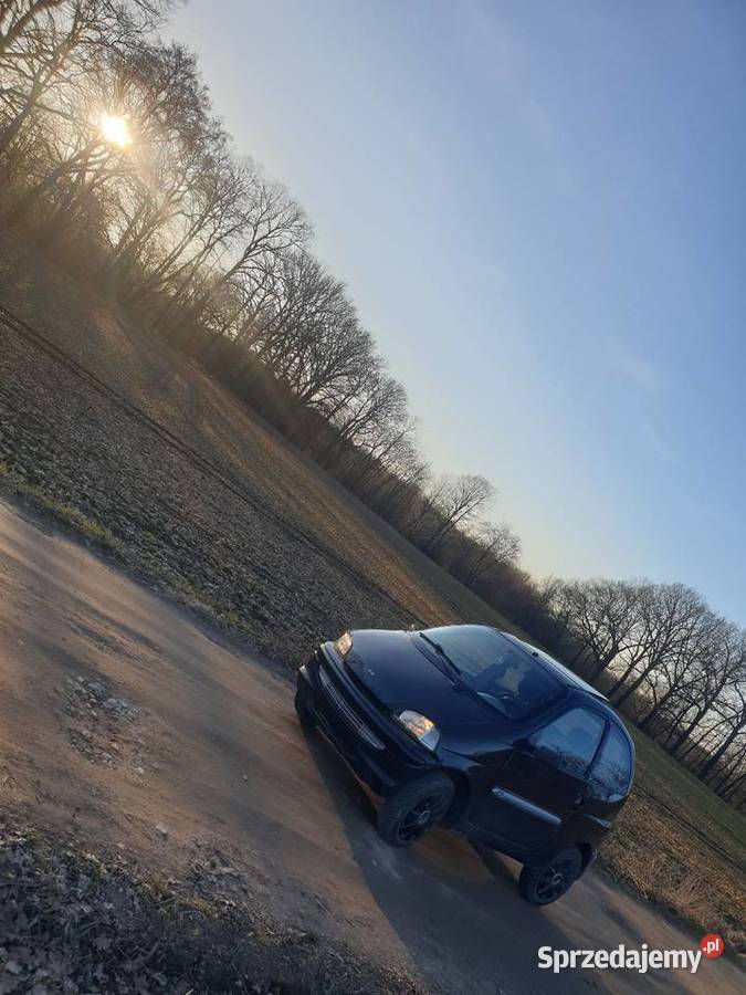 Liger js20 na am JS2 Bolesławiec