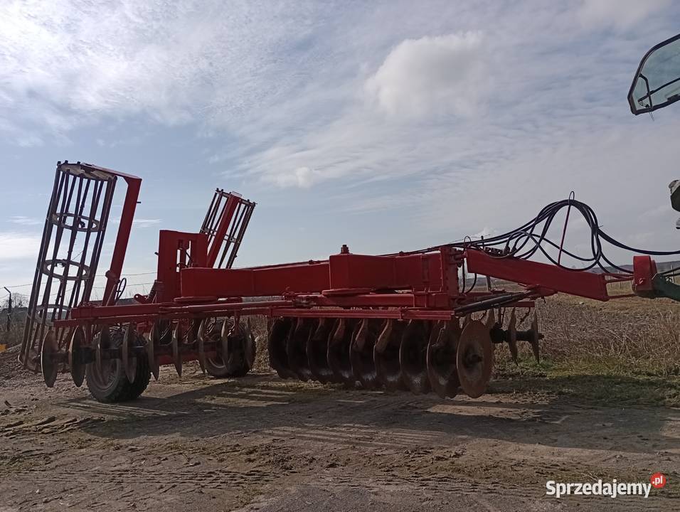 Brona talerzowa Mońki