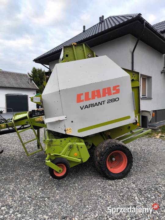 Sprzedam prase class świętokrzyskie