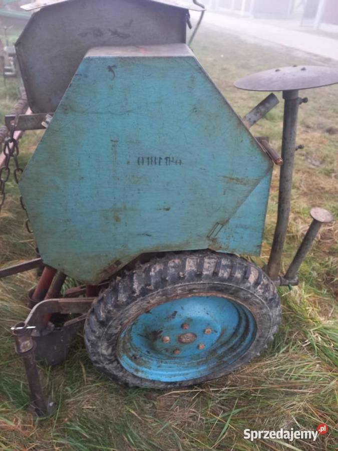 Siewnik poznaniak Jarosław